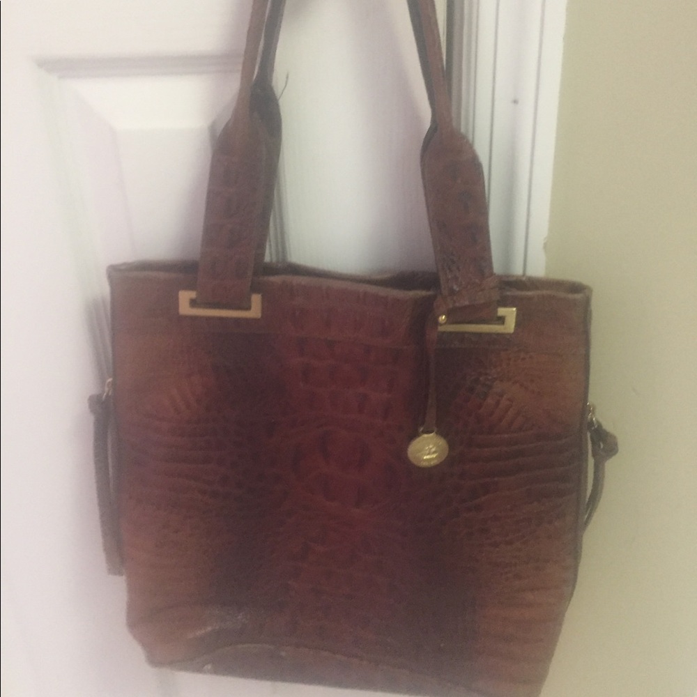 Brown Brahmin